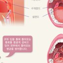 하이키한의원 이미지