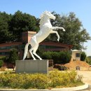 백마고지위령비 이미지