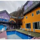 신영 | [ 홍천 펜션 ] 비발디파크 코앞! 찐으로 쉬고 온 신영펜션 후기 ✨