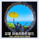 동명꽃아트 | [강릉 하슬라아트월드] 강원도 태교여행 여행코스 아이와갈만한곳 포토존 입장권 할인정보 동명해변