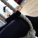 마로힐링요가아쉬람 이미지