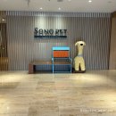 죠이월드노래연습장 | [강원도/홍천][애견동반] 홍천 소노펫비발디파크 스위트파크뷰+조식