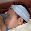 꼼지락 쑥쑥 책놀이 | 신생아 50일 육아일기 (초보맘의 걱정이야기)