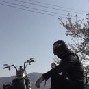 테일숍