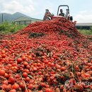 신북농협 산지유통센터 이미지