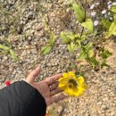 산이랑별이랑민박 이미지