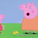 애니피그 이미지