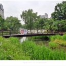 성내6교밑 이미지