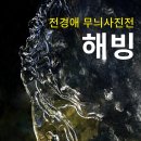자운영공방 | [전시 소식] 자운영 전경애 무늬 사진전 '해빙'