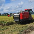 국립종자관리소 이미지