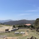 와가목장 이미지