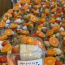 사림동221 이미지