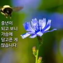 당신의 목소리가 그립습니다 이미지