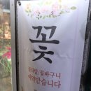 클로이플라워 이미지