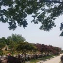 정원유기농 영농조합법인 이미지