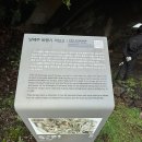 난다 - 안산시 단원구 선이로 14 | 난다