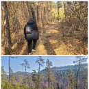 원동낚시터 | 황토길 맨발걷기 좋은 장소 오산 마등산 위치 주차