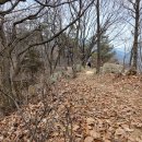 시루봉1농장 이미지