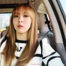 소풍라이브 이미지