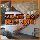 고아리벽화고분 | 고령 고아리 벽화고분 주변 숙소 추천 리스트 위치 시설 장점 실제 방문 후기 비교 알아보기