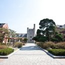 중앙고등학교 이미지