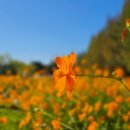 시크릿 행정사 사무소 이미지