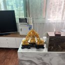 중국정통발관리