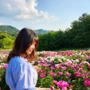 충청남도 산림박물관 | (여행) 대전 근교 아이랑 가기 좋은 곳 대전 근교 황토메타길 충청남도산림박물관 다녀온 후기