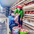 기조목장 뉴스1