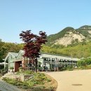 복을 파는 유랑 악단 이미지