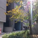 웨이프(WAYP) 이미지