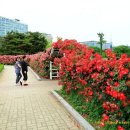 한밭 체육관 이미지