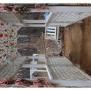 바다속펜션 이미지