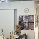 돈되는 가 | 성수동 나나가챠 후기! 가챠 좋아한다면 꼭 가봐야 할 성수 놀거리(내돈 내산)
