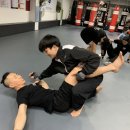 마스터황의택견