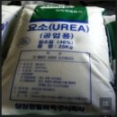 롯데케미칼사택(구 호남석유사택) | 롯데정밀화학 구.삼성정밀화학 / 한국비료