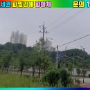 피아체