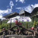 팔음농장 이미지