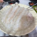 아라회수산 | 속초 아라횟집 ㅣ 속초 수산시장 지하회센터 사장님인심 좋은 횟집 내돈내산 후기