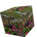 공도조은공인중개사사무소 이미지