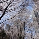 광덕산근린공원 이미지