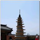 양양 낙산사 칠층석탑 이미지