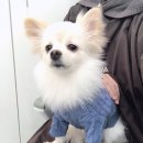 하랑미장원