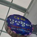 갈성활어