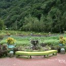 허브꽃농원 이미지