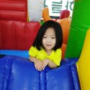 새하늘용인대태권도 이미지