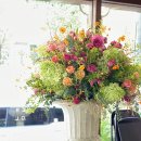 쟈뎅드마망 이미지