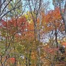 만수약수터 이미지