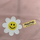 도그온리 이미지