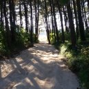 후포면사무소 이미지